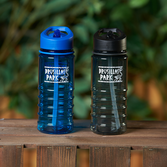 Drusillas Water Bottle