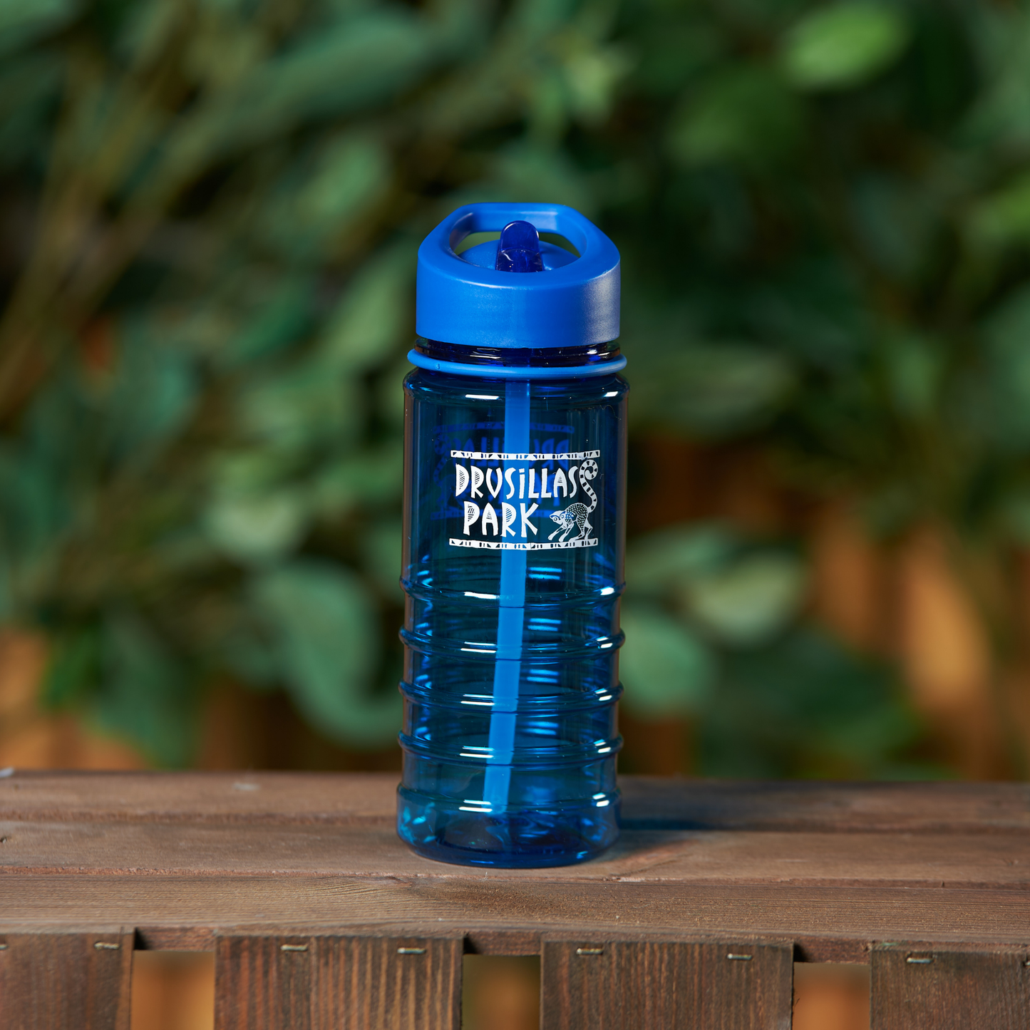 Drusillas Water Bottle