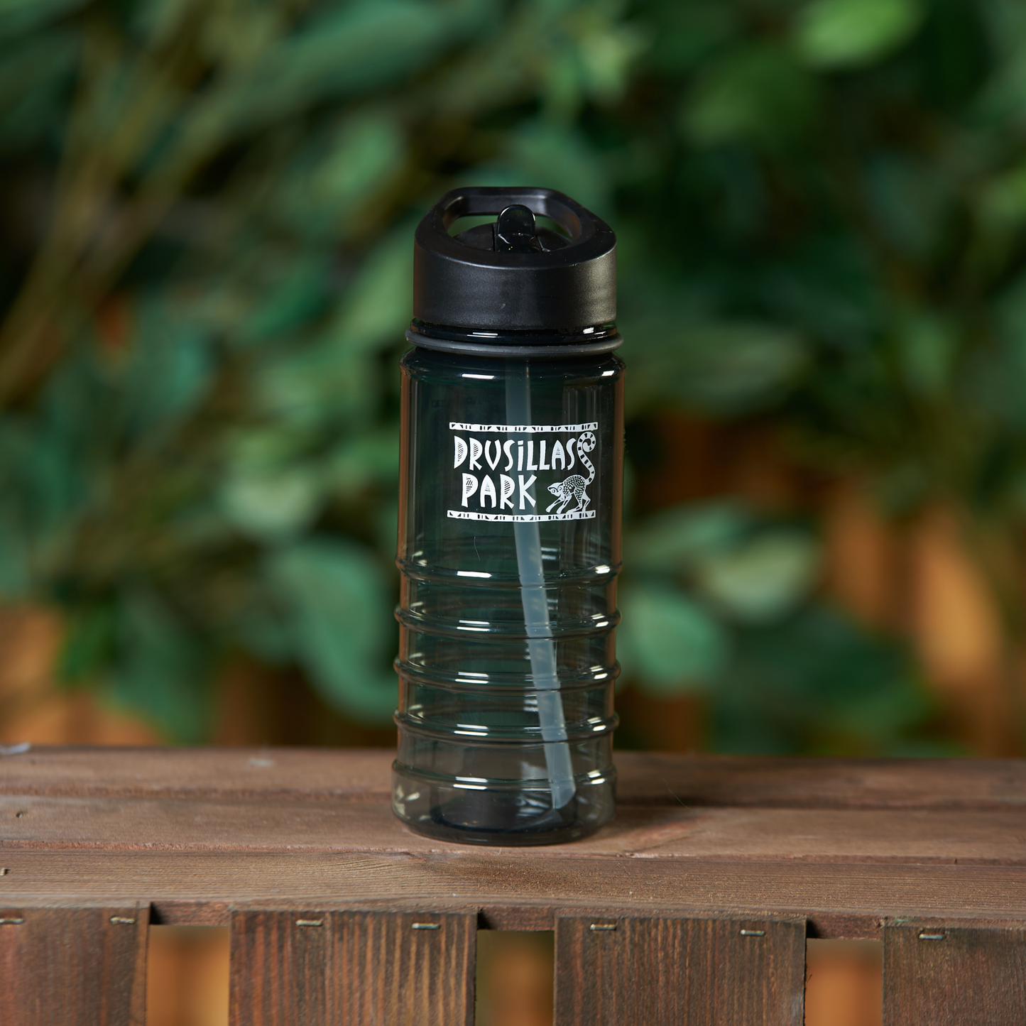 Drusillas Water Bottle