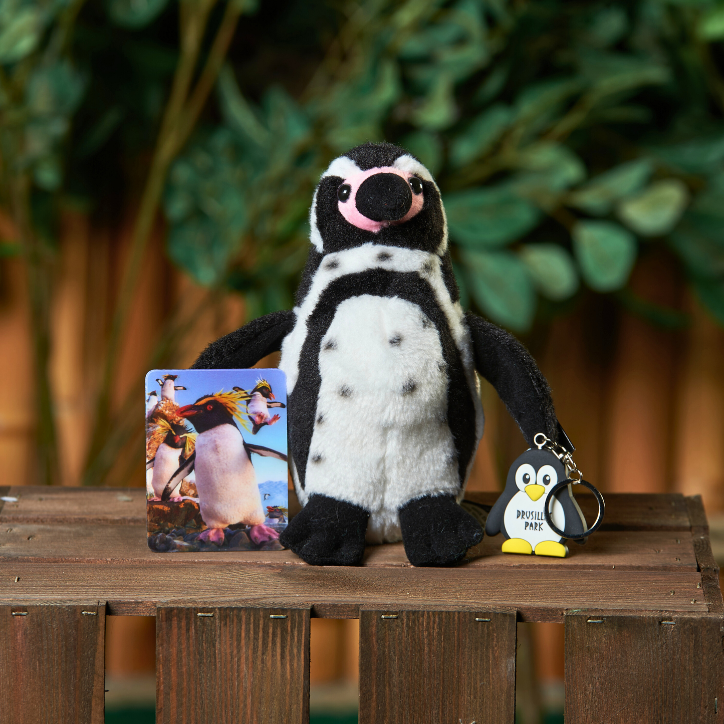 Penguin Perfection Bundle