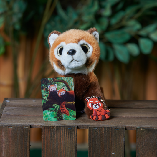 A Stu-pand-ous Red Panda Bundle