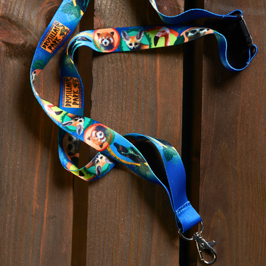 Drusillas Lanyard